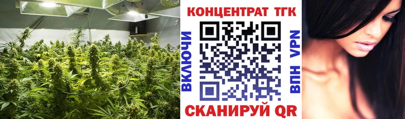 Дистиллят ТГК концентрат купить закладку Болгар