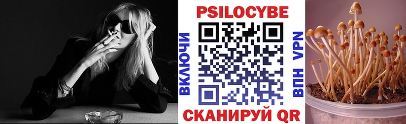 дарнет шоп  Болгар  Псилоцибиновые грибы мухоморы 
