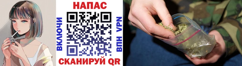 Конопля AK-47  купить закладку  Болгар 